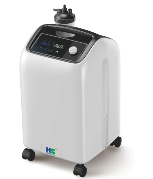 10 LPM oxygen concentrator — white stationary unit with digital display, humidifier bottle and castor wheels